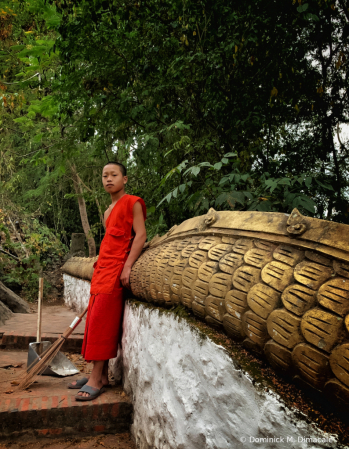 ~ ~ NOVICE MONK  ~~ 