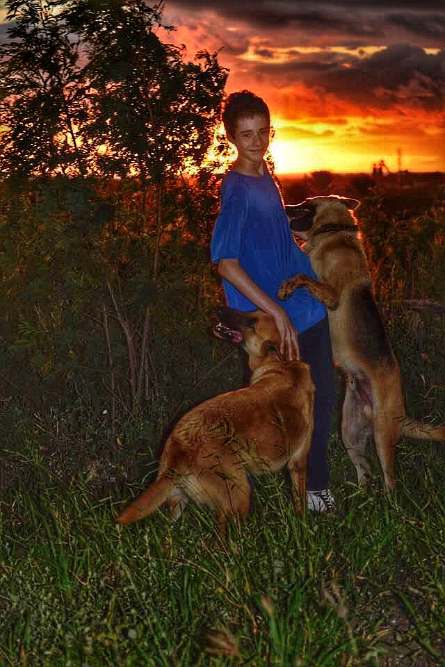 A Boy and His Dogs