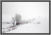 Misty and Snowy M...