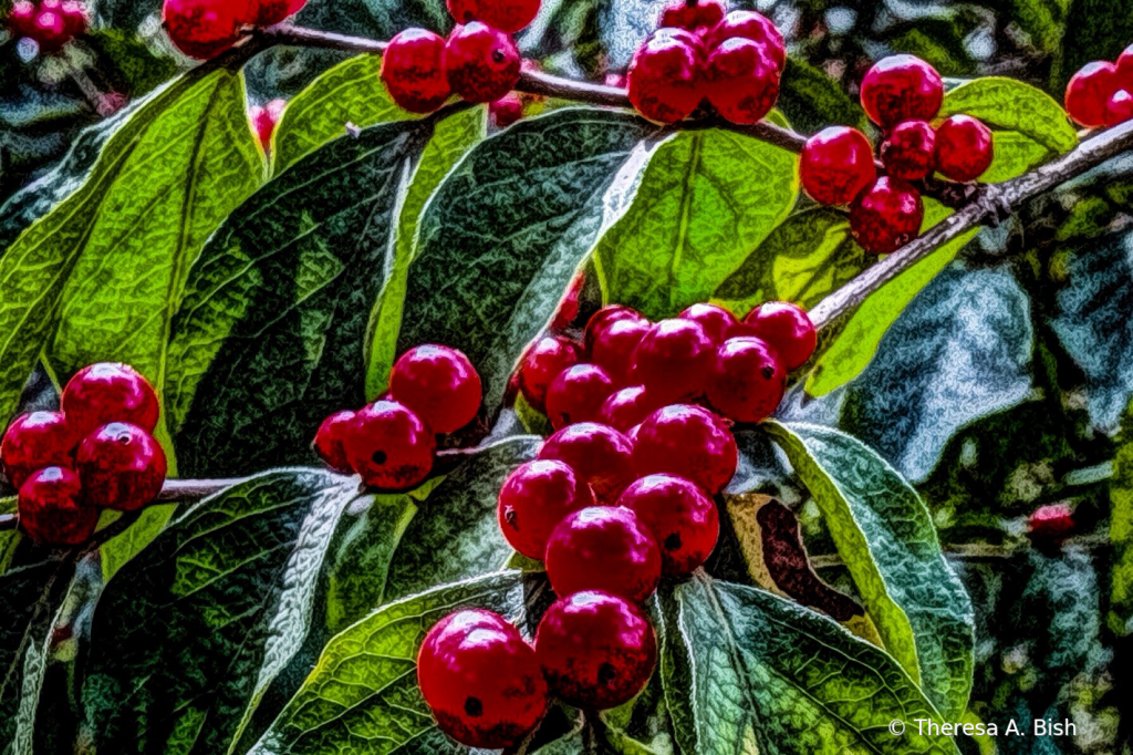 Red Berries - Green Leaves