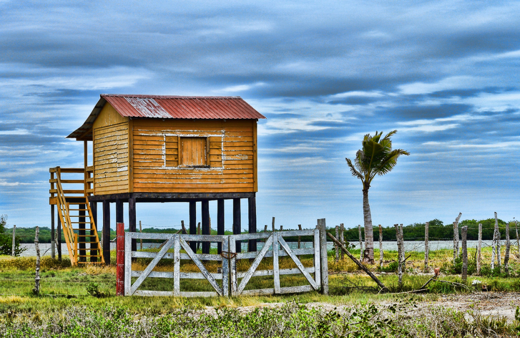 AN ELEVATED LITTLE HOUSE NEAR THE RIVER