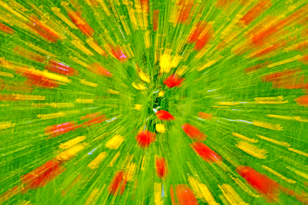 Red & Green colors in motion.