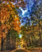 Natures Paintbrus...
