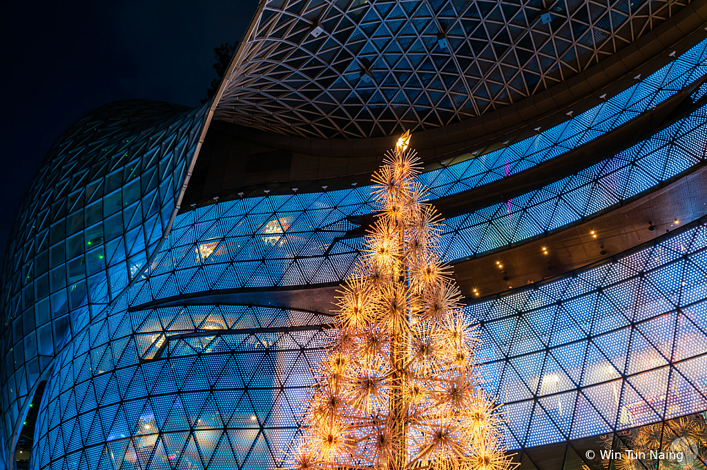 ION Orchard