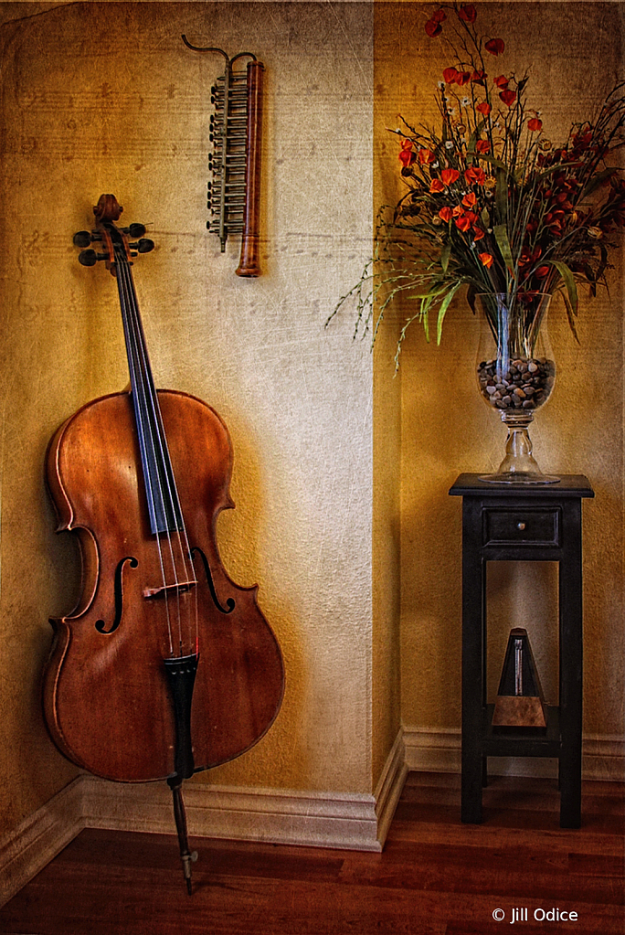 Music-The Cello