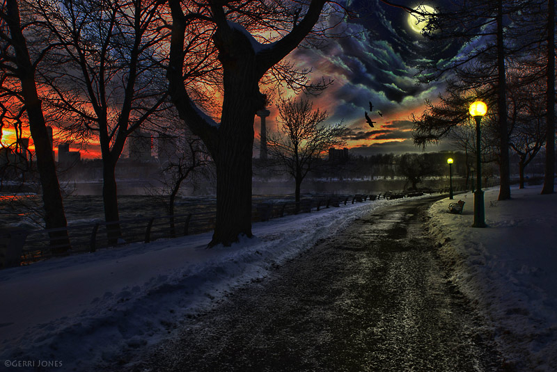 Moonlit Winter Walk