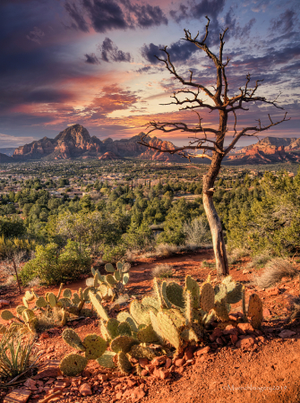 Arizona Sunset