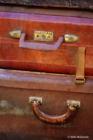 Luggage Still Life