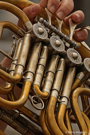 The French Horn