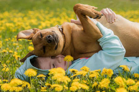 A Girl and her Dog