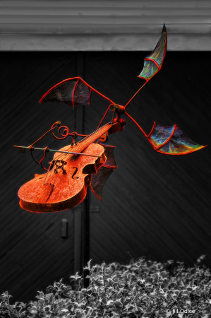 Flying Violin