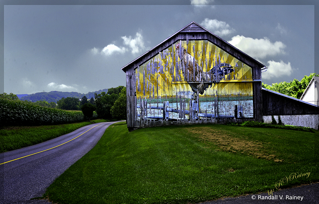 The Large Chicken Barn . . .