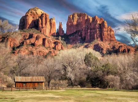 My Backyard (I Wish)