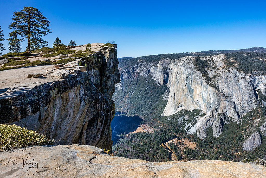 Taft Point