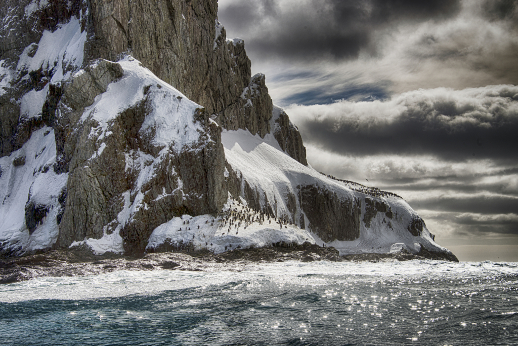 Elephant Island 2