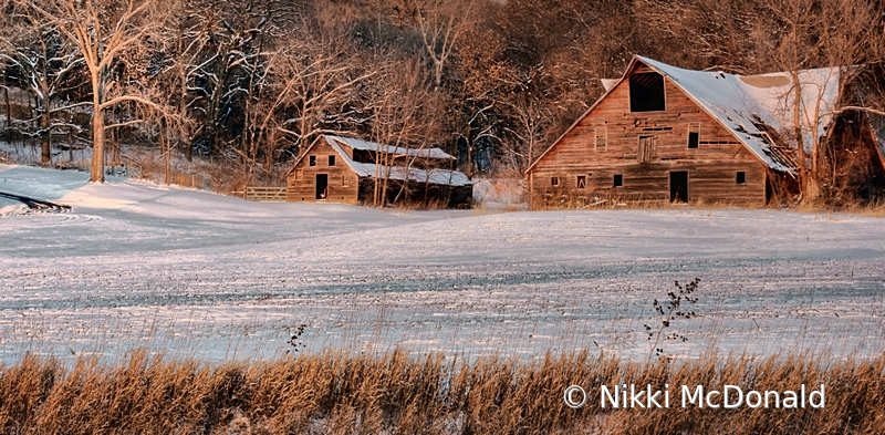 Winter in the Country