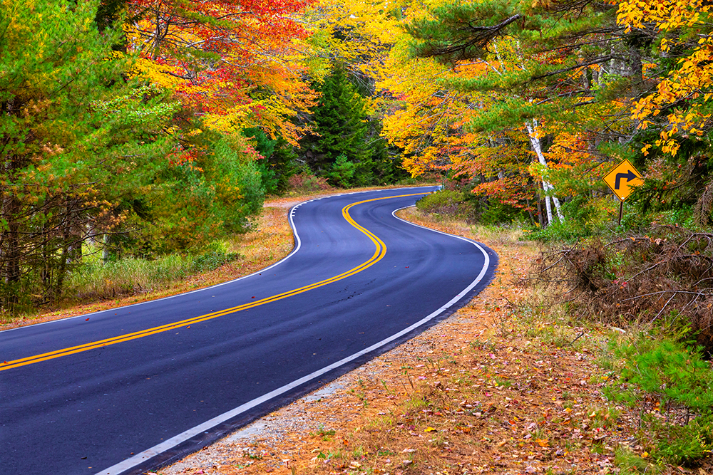 Cruising Through Autumn - ID: 15781821 © Jeff Robinson