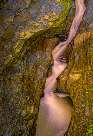 Cascade of Life, Watkins Glen, NY