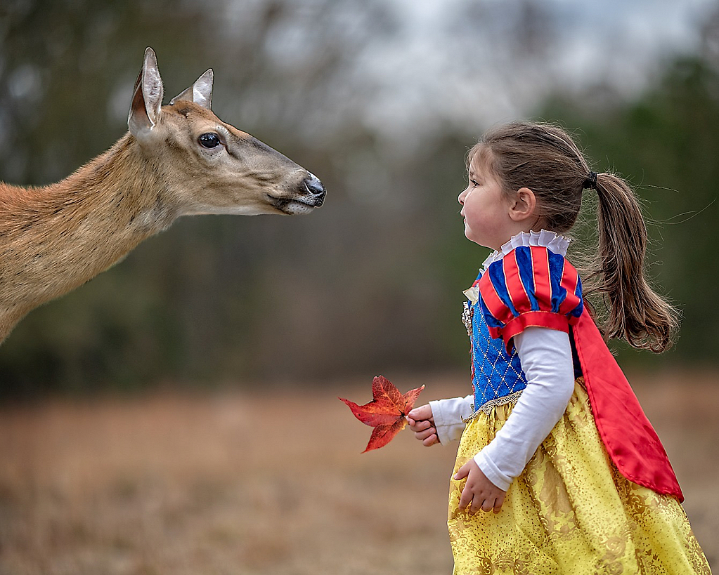 Snow White meets Bambi 