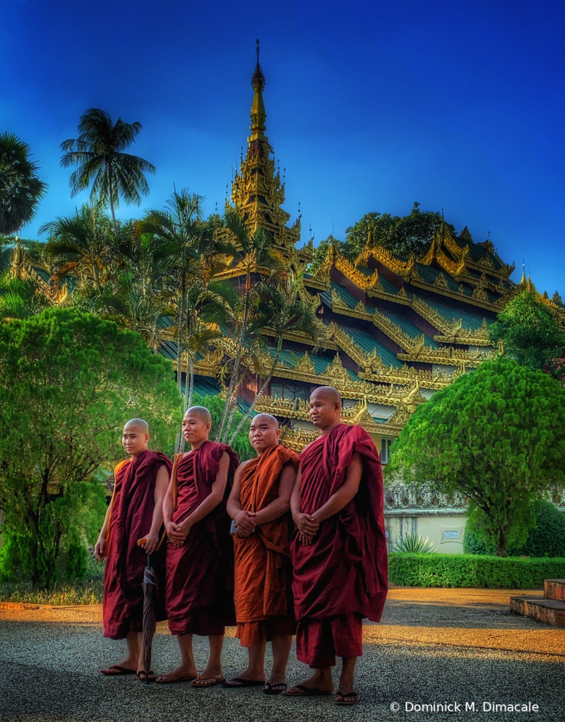 ~ ~ MONKS TAKING PICTURES ~ ~ 