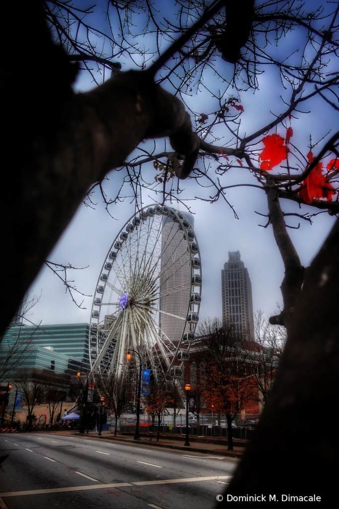 ~ ~ THE FERRIES WHEEL ~ ~ 