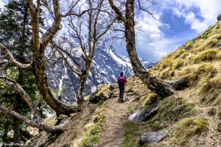 On a Scenic Trail