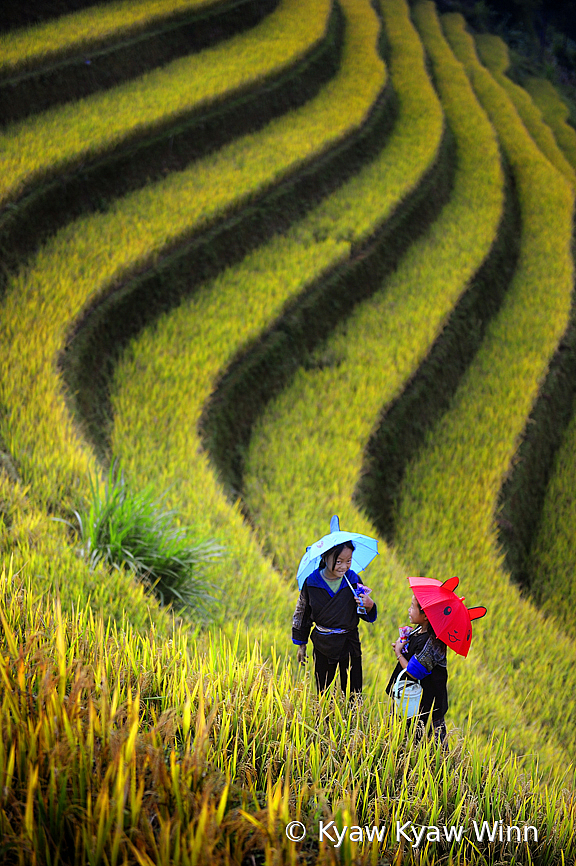 Red, Blue and Green  - ID: 15782739 © Kyaw Kyaw Winn