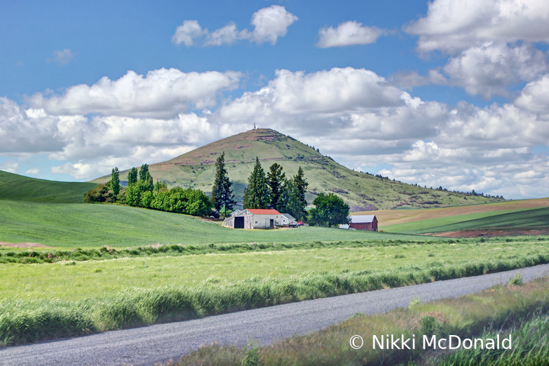 Steptoe Butte