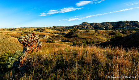 Landscape of Theodore Roosevelt National Park