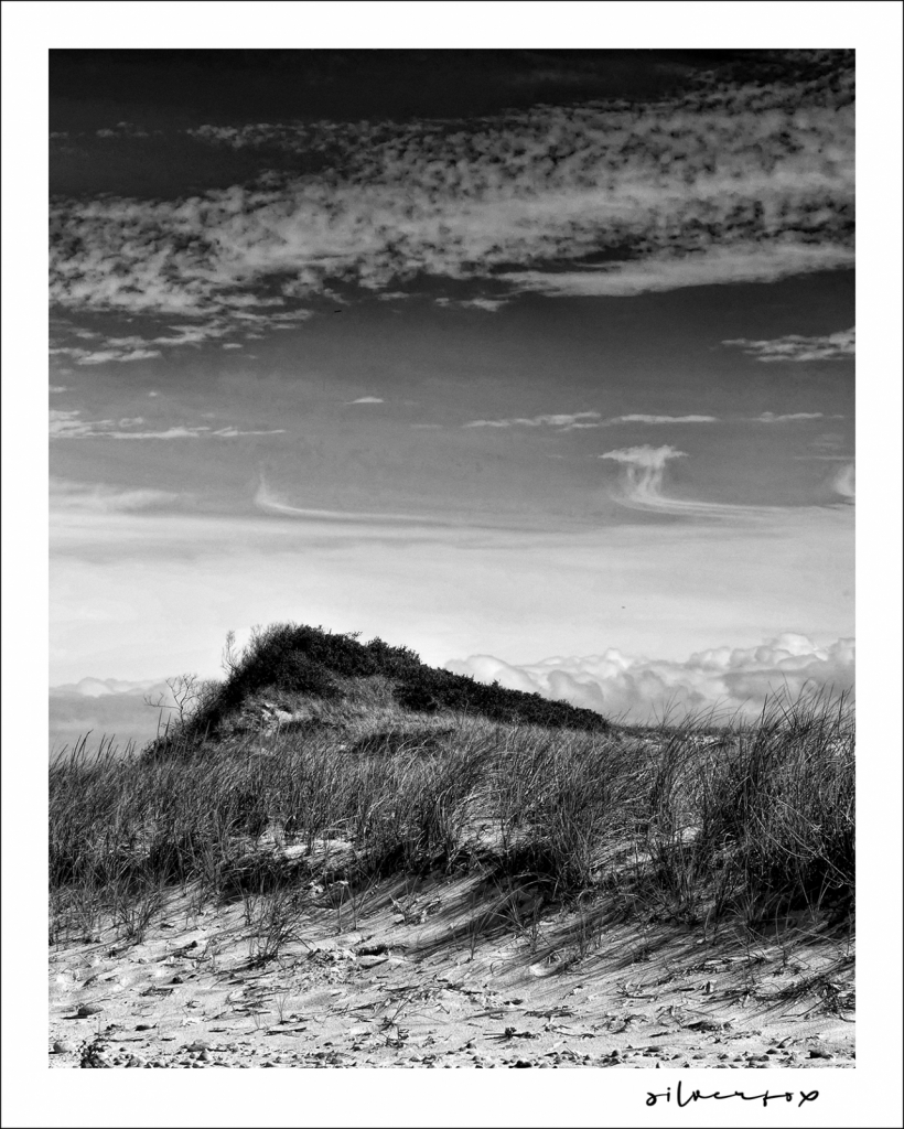Dunes on the Cape