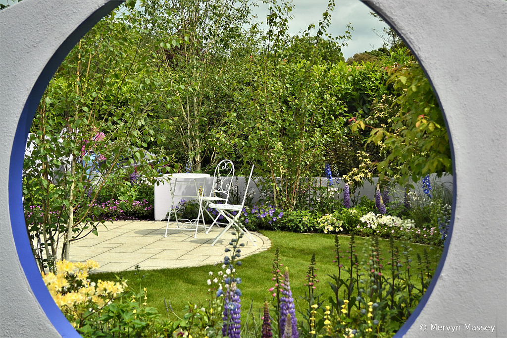 The garden through a window