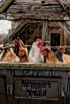 NOT FREE RANGE