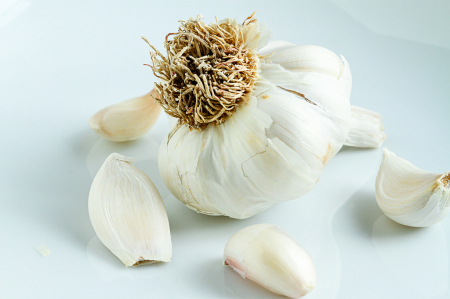 Garlic