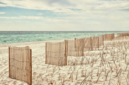 Sand Fences