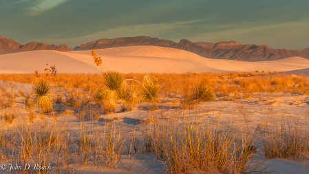 Morning Light at White Sands