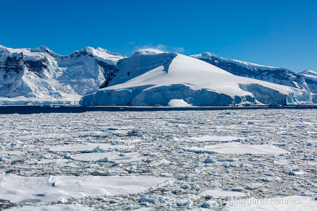 Antarctic Ice Field