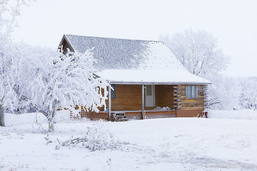Cabin in Winter wonderland - ID: 15785375 © Roxanne M. Westman