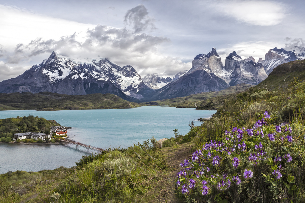 Torres del Paine Overlook  