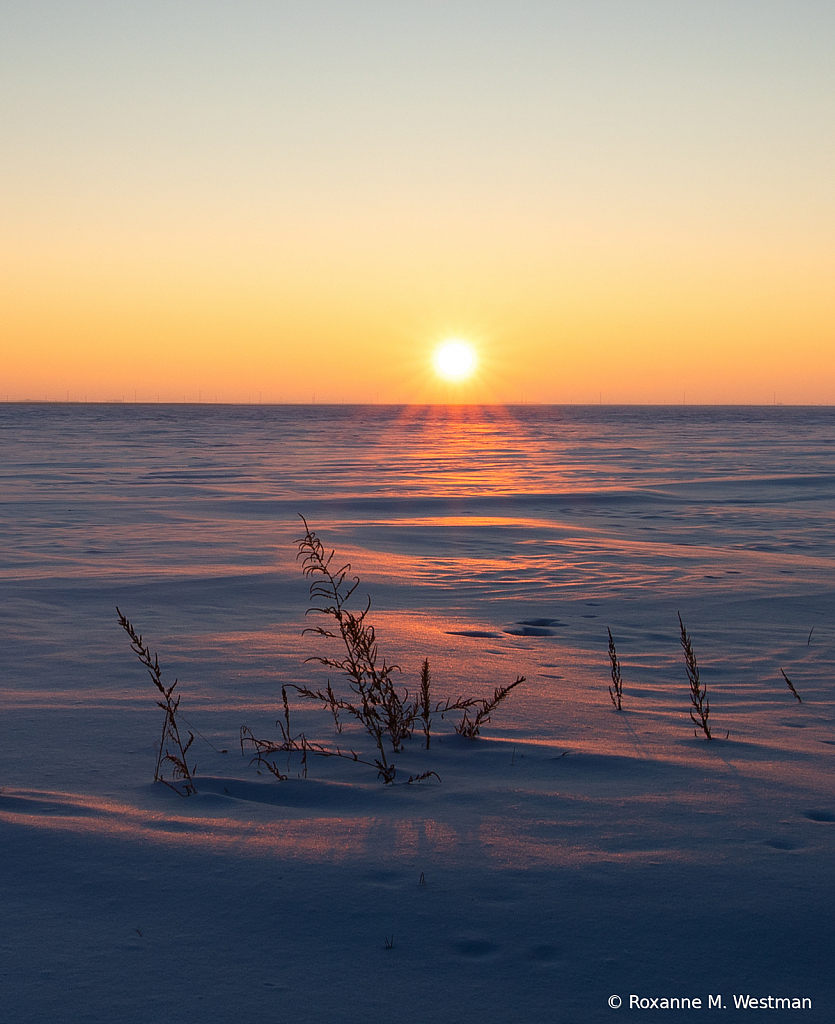 Winter Sunset - ID: 15785580 © Roxanne M. Westman