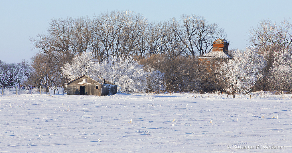 Frosty farmstead - ID: 15785581 © Roxanne M. Westman