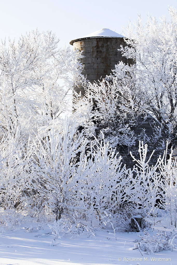 Frost surrounds the silo - ID: 15785582 © Roxanne M. Westman