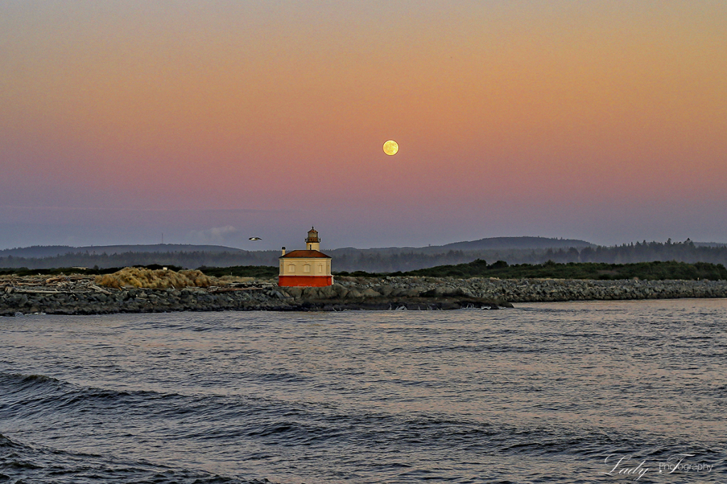 Well, it's a marvelous night for a moondance