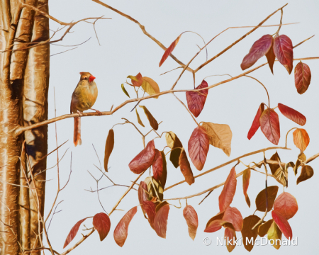 Female Cardinal and Leaves