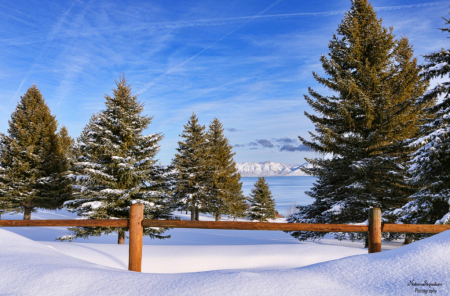 ~ A Blanket Of White ~