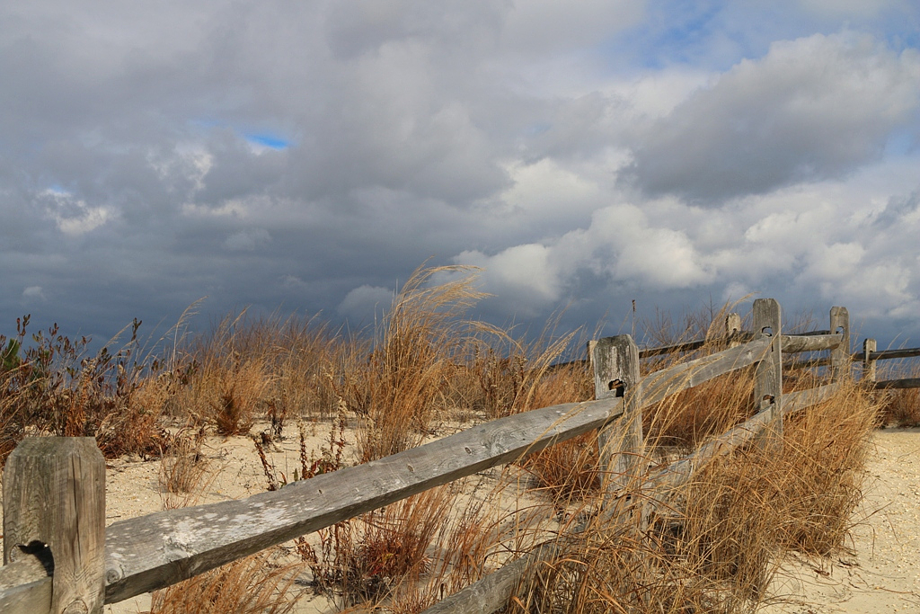 A Breezy Day