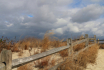 A Breezy Day