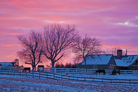 ONE WINTER MORNING