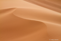 January 2020 Photo Contest 2nd Place Prize Winner