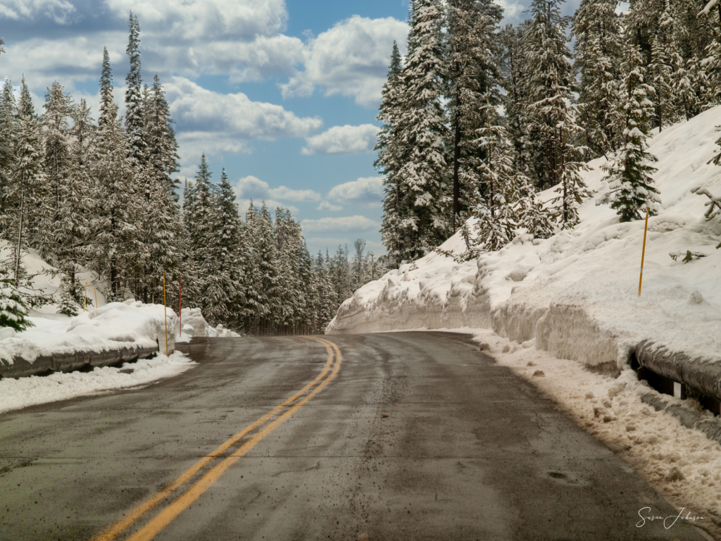 Yellowstone in May - ID: 15786217 © Susan Johnson