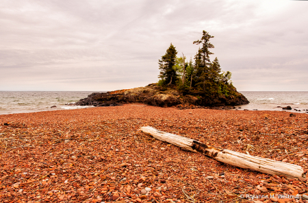 Driftwood on shores of Lake Superior